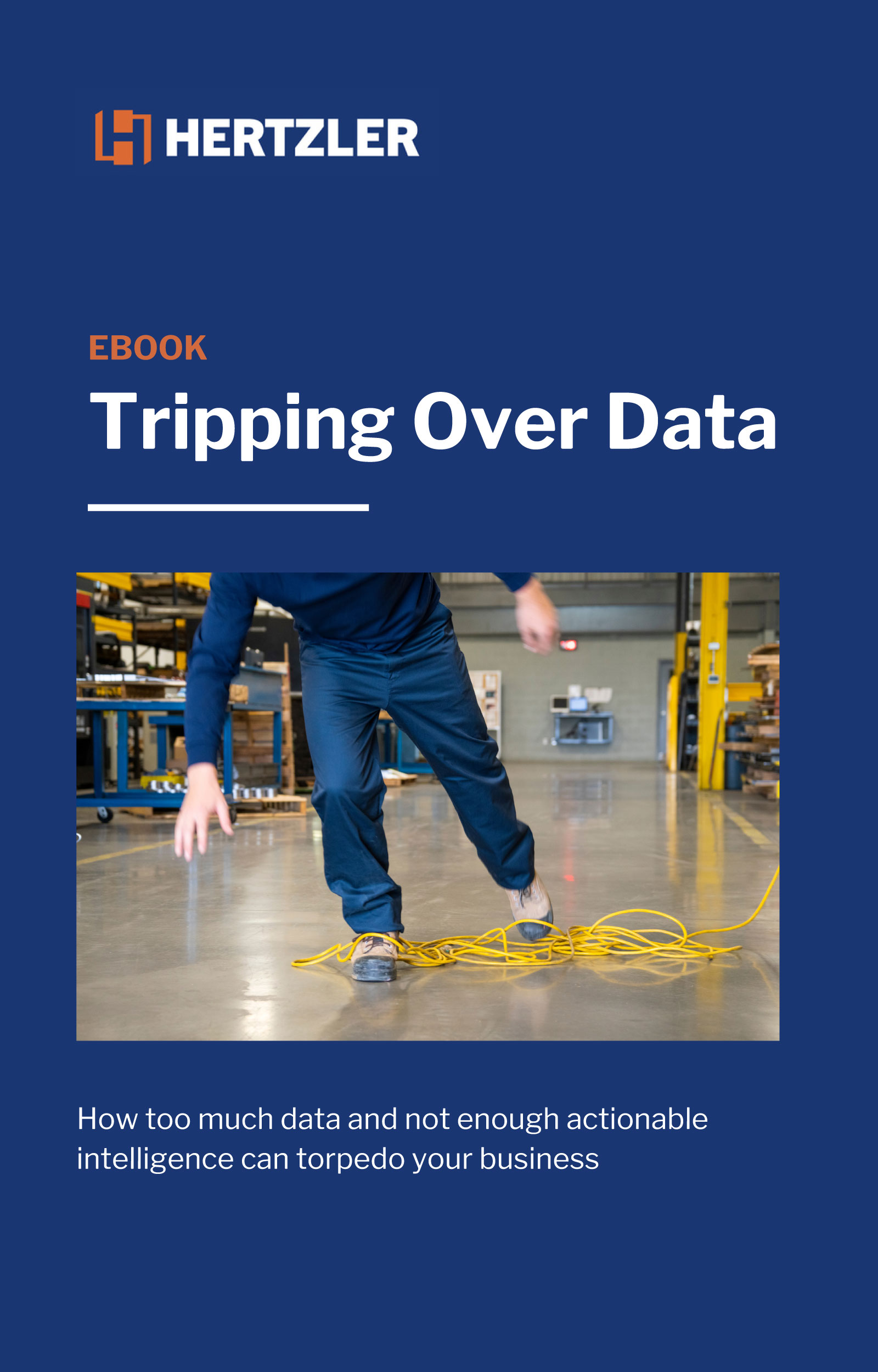 Tripping Over Data eBook